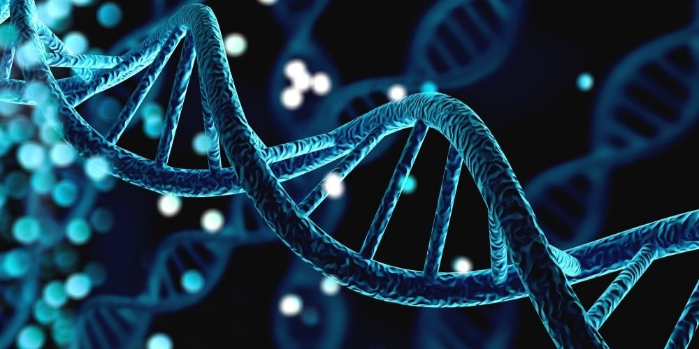 Where Do Stem Cells Come From
