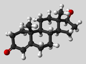 14 Foods to Support Low Testosterone Treatment