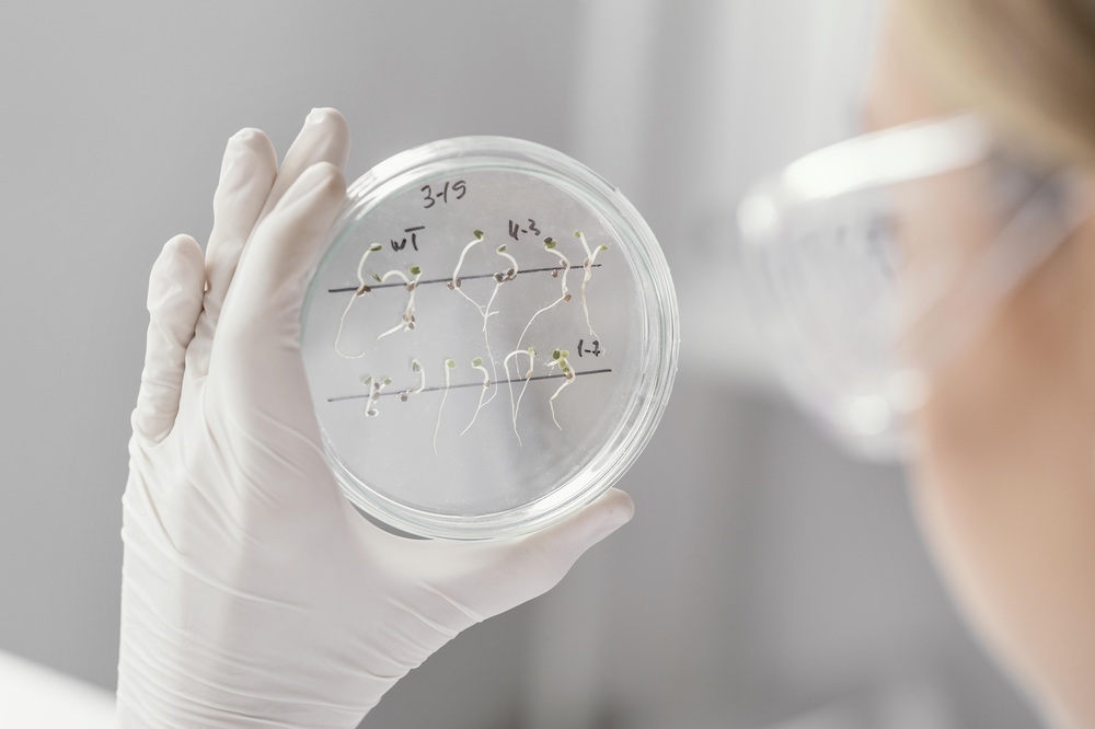 close-up-scientist-holding-petri-dish-2.jpg