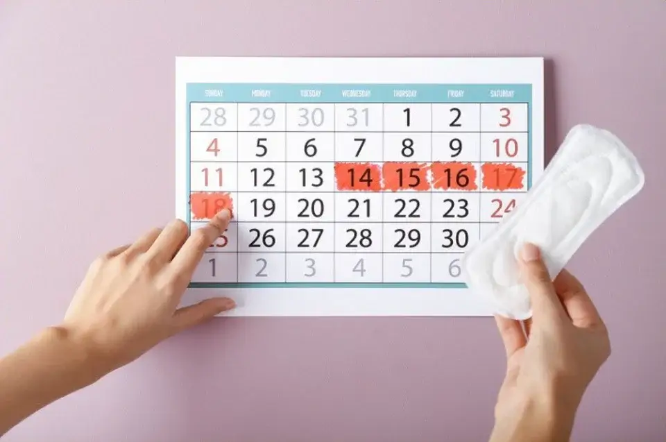 Track Your Menstrual Cycle