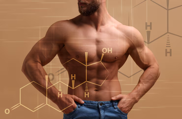 muscular man structural formula testosterone