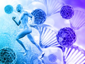 Where are stem cells found
