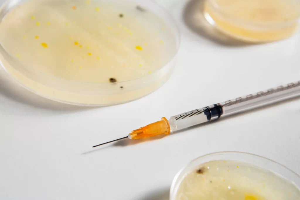 Close-up of syringe and petri dishes with bacterial cultures on white surface in medical laboratory setting
