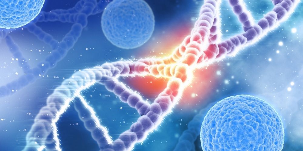 3D medical illustration featuring a glowing, purple double-helix DNA strand as the central focus