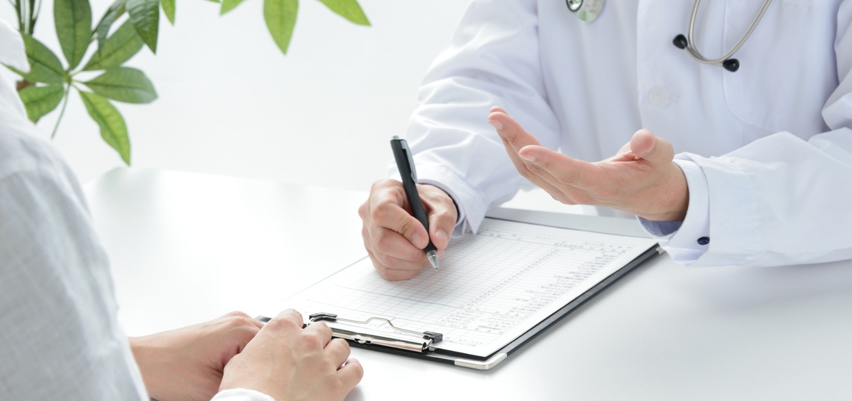 during a patient consultation